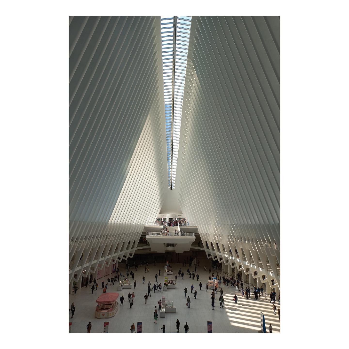 image 3c331f